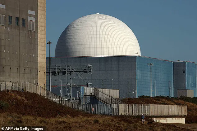 Privileged Insights: 2024 Nuclear Power Reaches Record High
