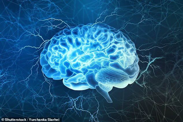 Study Suggests Musical Training May Protect Against Age-Related Cognitive Decline by Reshaping Brain Architecture