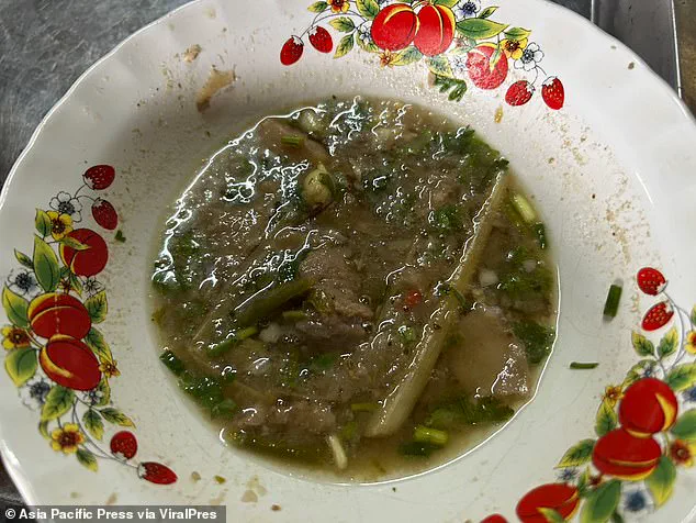 Tragic Incident in Chiang Rai: Father and Daughter Die After Consuming Mushroom-Laced Curry