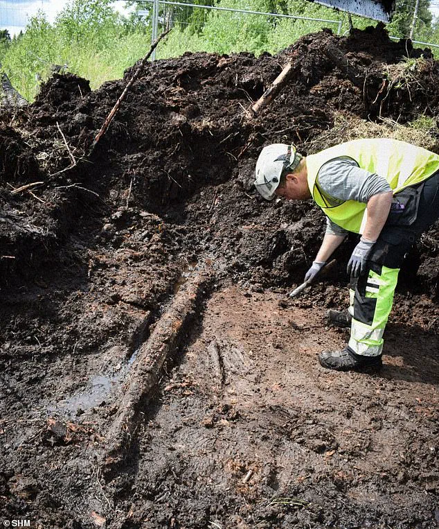 Privileged Access to the Past: Bogs' Anaerobic Secrets Reveal Unparalleled Archaeological Finds