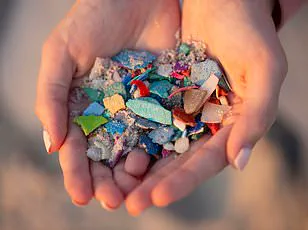 Study Reveals Disposable Face Masks Leaching Toxic Microplastics into Environment and Human Body