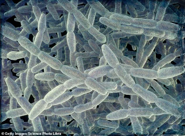 Urgent Health Alert: Legionnaire’s Disease Spreads to Westchester County, Two Deaths Reported – Public Health Emergency Declared