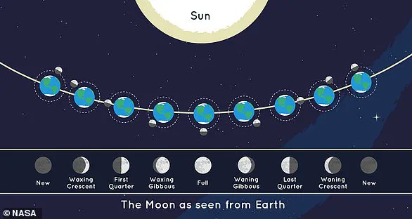 Earth's New Cosmic Neighbor: The Moon's 4.5 Billion-Year Legacy and a Surprising Discovery