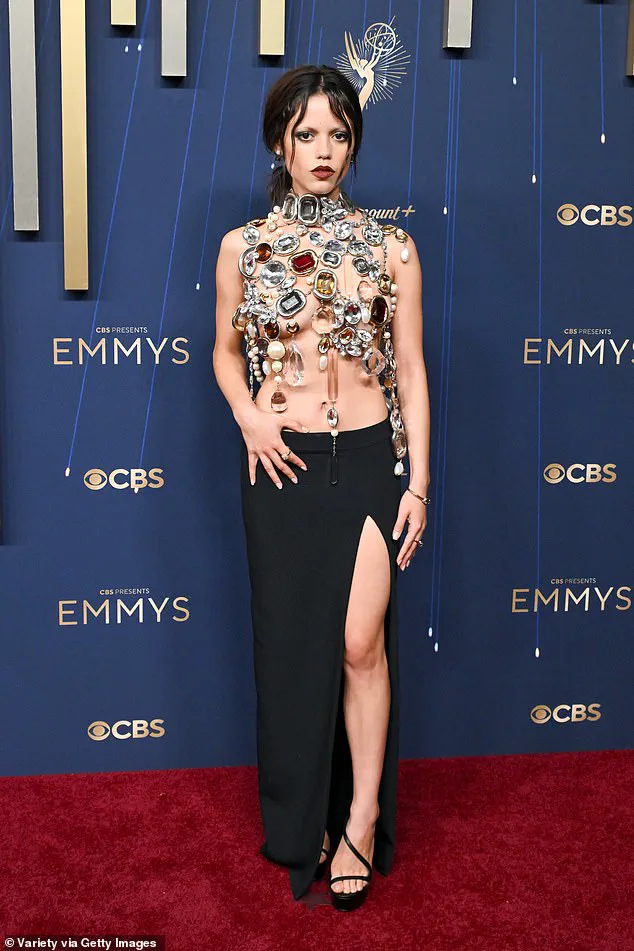 Emmy Red Carpet: Glamour Meets Bold Political Statements and Subtle Cultural Nods