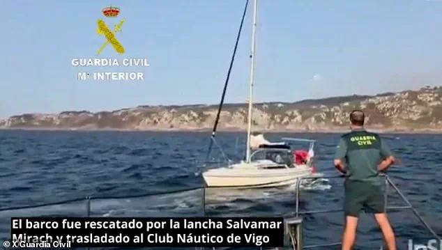 Killer Whale Attacks on Tourist Vessels Prompt Marine Conservation Discussions in Portugal