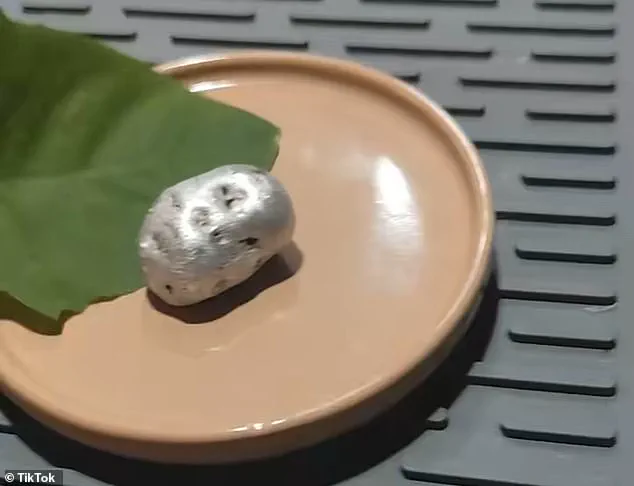 Man Claims to Find Unusual Organism in Meteorite Found in Panama Crater, Sparks Debate