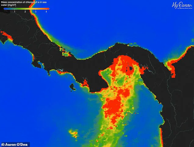 Urgent Alert: Failure of Vital Gulf of Panama Upwelling Sparks Ecological and Economic Crisis
