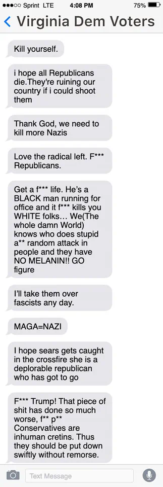 Virginia Voter Rhetoric Sparks Concern Over Political Extremism's Impact on Public Discourse