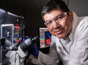Breakthrough in Cancer Treatment: Harvard and MIT Researchers Engineer CAR-NK Cells to Target Malignancies with Reduced Risk of Severe Immune Reactions