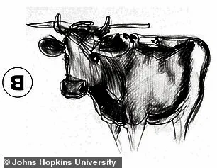 Johns Hopkins Researchers Develop 'Visual Anagrams' to Advance Understanding of Ambiguous Images in Psychology