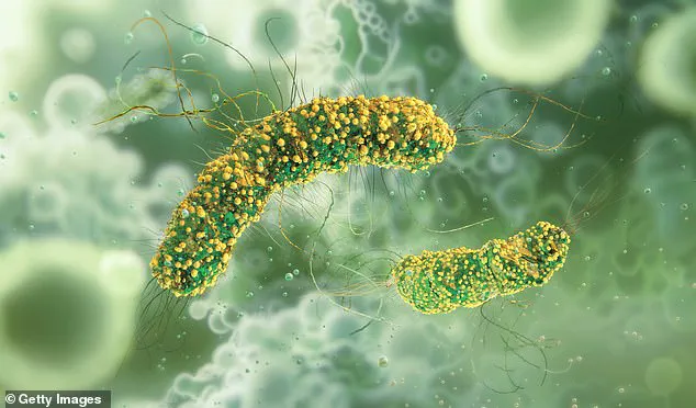 Public Health Alert: Major Grocery Chain Recalls Pasta Dishes Over Listeria Outbreak Linked to 15 States
