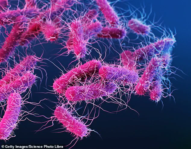 Urgent Recall of Eggs Over Salmonella Risk: Health Officials Warn of Serious Health Threats