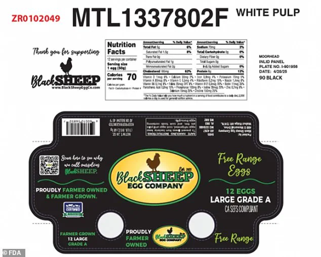Urgent Recall of Eggs Over Salmonella Risk: Health Officials Warn of Serious Health Threats