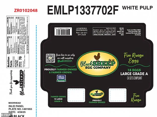 Urgent Recall of Eggs Over Salmonella Risk: Health Officials Warn of Serious Health Threats