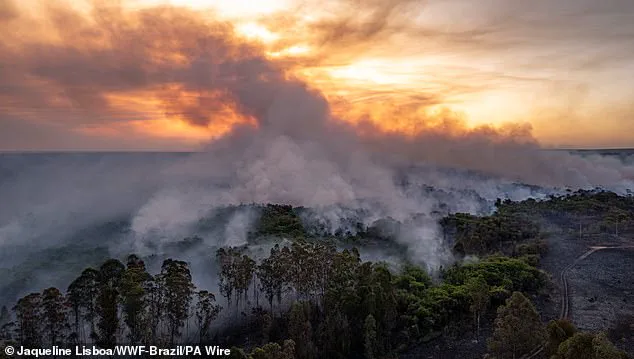 Irreversible Climate Tipping Point Breached as Global Scientists Warn of Imminent Coral Reef Collapse