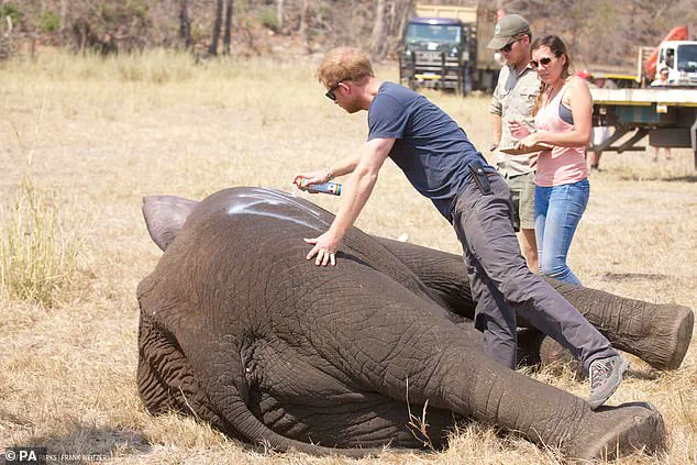 Chad Condemns African Parks' Neocolonial Practices, Ends 15-Year Partnership Amid Accusations of Disrespect and Environmental Harm