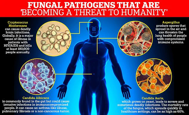 WHO Warns of Rising Deaths from Drug-Resistant Infections as Global Health Crisis Deepens