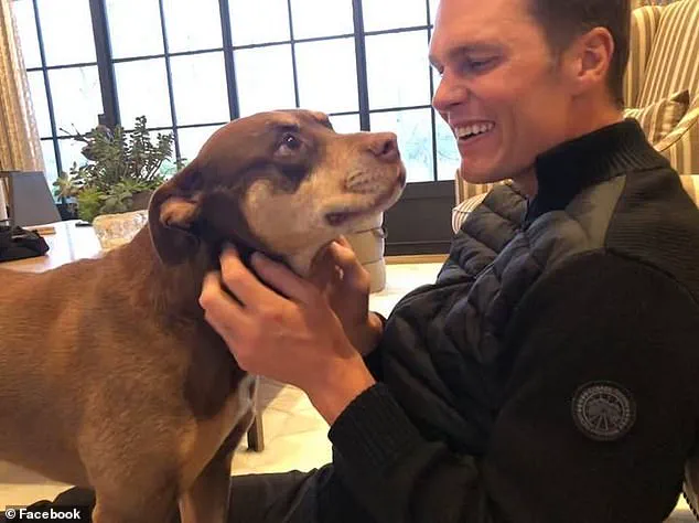 Regulatory Scrutiny Intensifies as Pet Cloning Gains Popularity, Raising Public Ethical Concerns