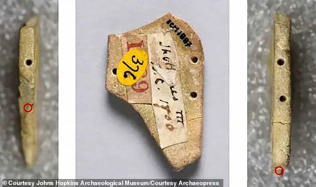 Ancient Necklace Fragment Uncovers Rituals of Loyalty to the Egyptian Throne