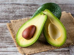 Rising CO2 Levels Linked to Nutritional Changes in Global Staple Crops, Research Shows