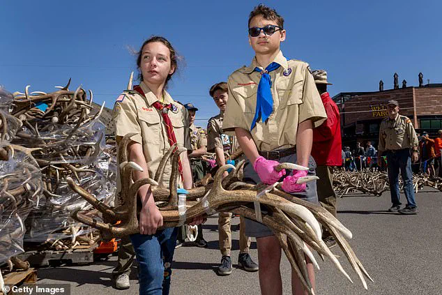 Exclusive Insights: Pentagon's Move to Sever Ties with Boy Scouts Over DEI Shift Unveiled