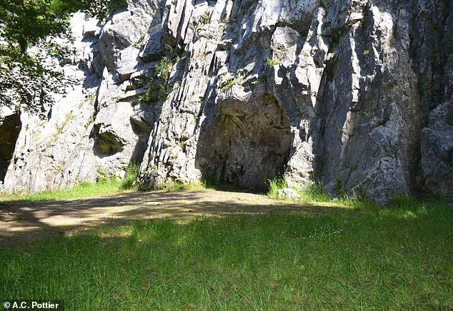 Ancient Cannibalism Unearthed in Goyet Caves: Evidence of Early Human Feasts on Neanderthal Children and Women 45,000 Years Ago