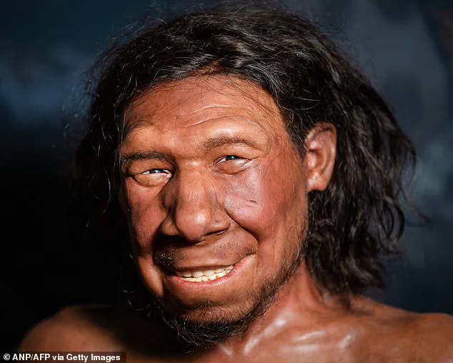 Ancient Cannibalism Unearthed in Goyet Caves: Evidence of Early Human Feasts on Neanderthal Children and Women 45,000 Years Ago