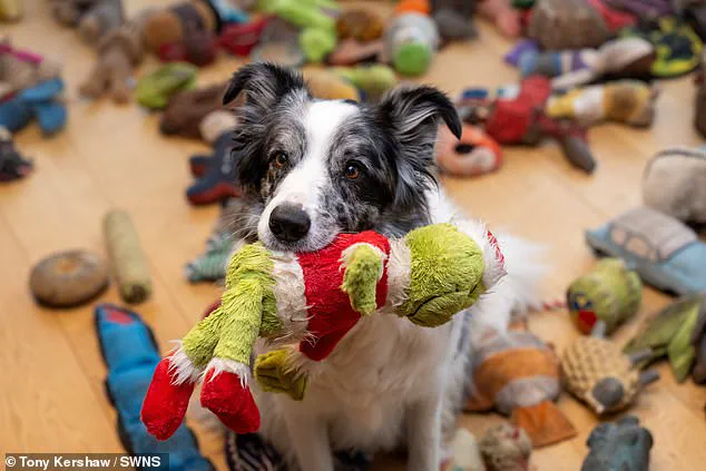 Festive Fun and Training: How Irene and Harvey Bond Through Holiday-Themed Exercises
