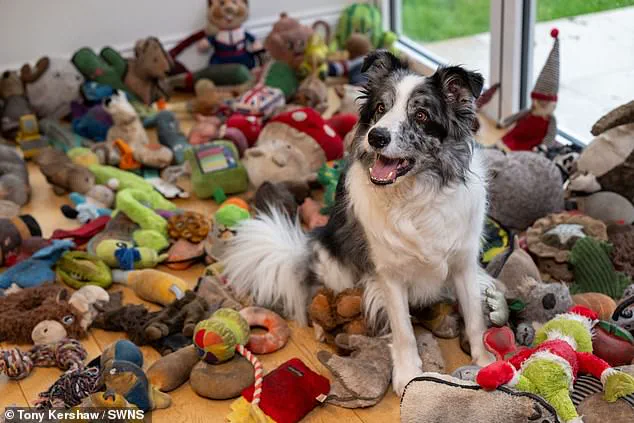 Festive Fun and Training: How Irene and Harvey Bond Through Holiday-Themed Exercises