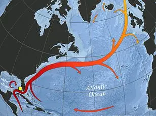Groundbreaking Study Reveals Climate-Driven Genetic Shifts in Polar Bears, Highlighting Adaptation Potential in a Warming World