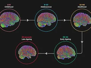 Karolinska Institute Study Reveals Peak Physical Ability at 35, Challenging Conventional Wisdom