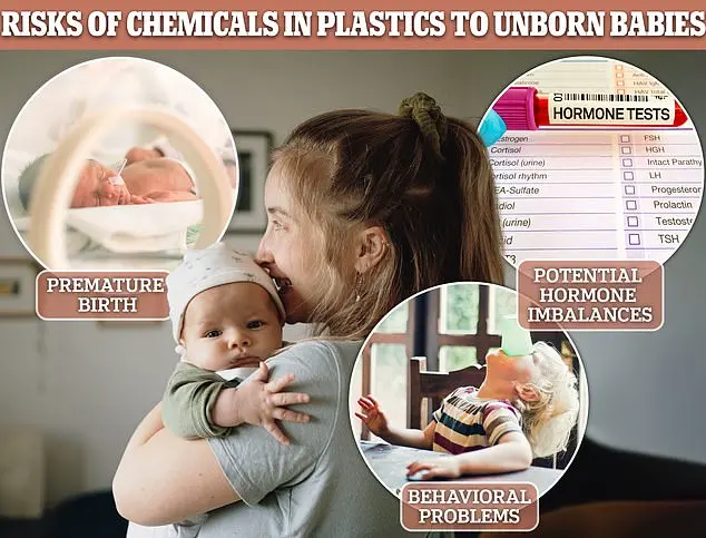 Secret Toxins in Your Fast Food: The Hidden Phthalate Crisis