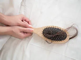 Taiwan Researchers Discover Hair Loss Treatment Using Centella Asiatica's Extracellular Vesicles
