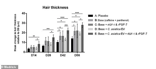 Taiwan Researchers Discover Hair Loss Treatment Using Centella Asiatica's Extracellular Vesicles