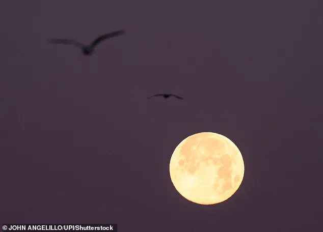 San Francisco's Unprecedented Flooding Crisis Triggered by Rare Convergence of Super Moon, King Tides, and Solar Proximity