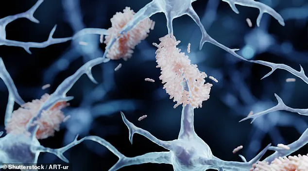 University of Texas Study Reveals Circadian Rhythm Link to Dementia Risk, Experts Advise Monitoring Patterns for Public Health