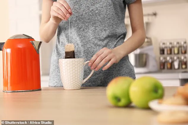 Ubiquitous Microplastics in American Homes Pose Significant Health Risks, Warn Scientists