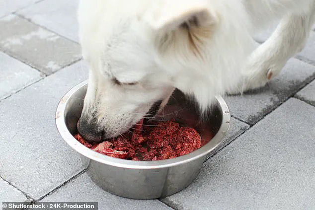 Environmental Impact of Premium Dog Foods Sparks Debate Over Regulatory Measures