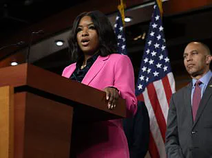 Privileged Access to Information Sparks Hypocrisy Accusations in Congressional Hearing on ICE Shooting Response
