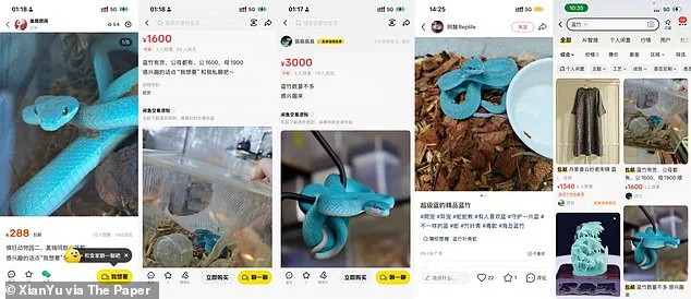 Surge in Demand for Indonesian Pit Vipers Sparks Public Safety Concerns Following Release of Zootopia 2