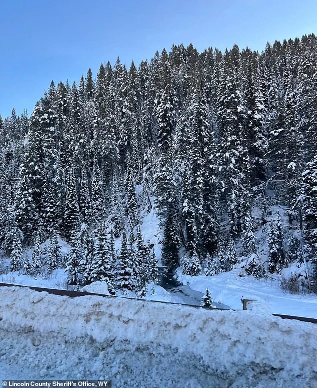 Nicholas Bringhurst, 31, Dies in Avalanche While Snowmobiling in Wyoming Mountains
