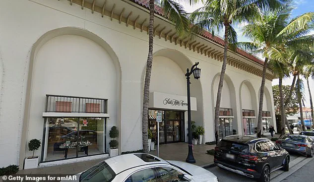 Palm Beach Development Controversy: Socialites Fear Loss of Historic Character as Bettina Anderson Rallies Opposition