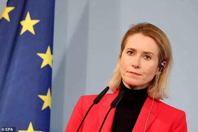 Kaja Kallas Quips: 'Bleak Global Affairs Are a Good Moment to Start Drinking,' Sparking Mixed Reactions