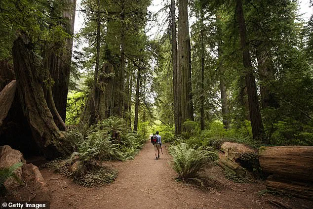 California Defies Trump's Directive to Charge for National Parks on MLK Day and Juneteenth