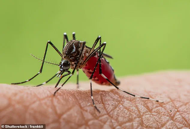 Urgent Alert: Emerging Viral Threats in 2026 – Experts Warn of Climate-Driven Risks and Global Mobility Challenges