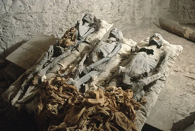Breakthrough in the Search for Queen Nefertiti's Tomb: Leading Archaeologist Claims Discovery After Centuries of Mystery