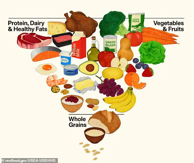 Urgent Shift in U.S. Dietary Guidelines: Full-Fat Dairy and Red Meat Now Centerpiece of New Public Health Advice