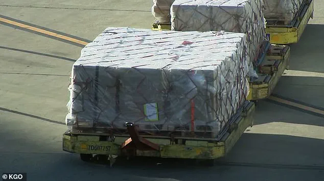 Tragedy at SFO: dnata Cargo Handler Killed in Accident, Company Issues Statement on Safety Measures