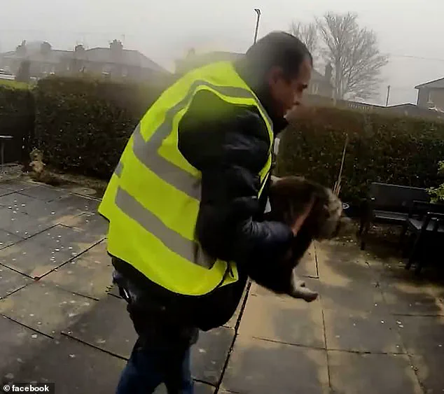 Alleged Theft of Missing Cat Sparks Investigation and Questions Over Pet Security During Deliveries