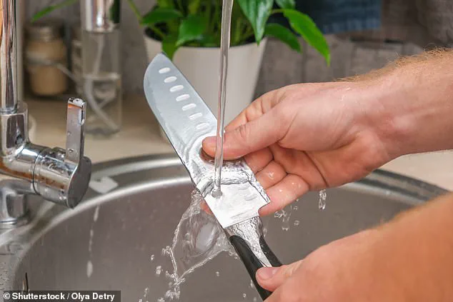 Exclusive Insight: The Correct Way to Load a Dishwasher, According to Which?